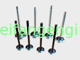 Exhaust Valve for Weifang Diesel Engine 295/495/4100/4105/6105/6113/6126