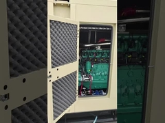 সিএনজি/এলপিজি/এলএনজি/বায়োগ্যাস জেনারেটর সেট 20KW- 500KW থেকে